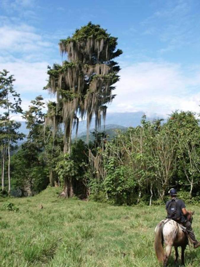 Hacienda Monteclaro Hotel Turrialba Buitenkant foto